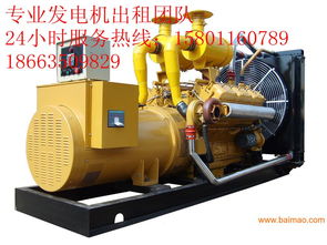泰安發(fā)電機租賃服務(wù)全解析 從廠家到價格，一站式解決方案