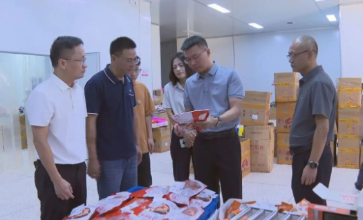 縣長調(diào)研電商及口岸經(jīng)濟(jì)工作，聚焦海淘物流發(fā)展新路徑